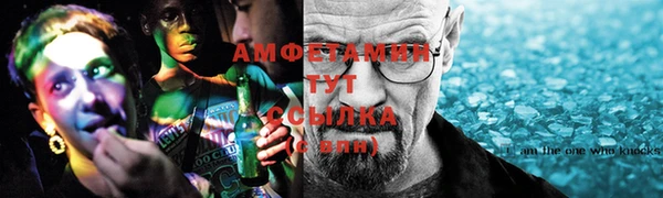 гидра Аркадак