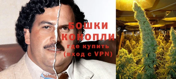 гидра Аркадак