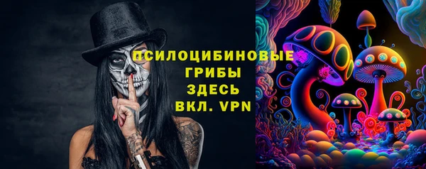 гашик Болхов